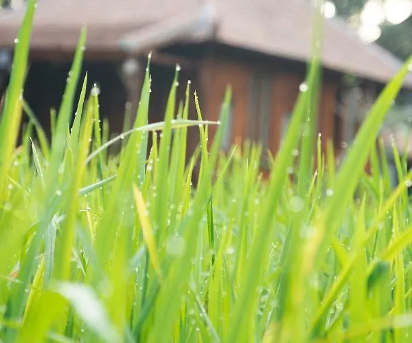 Uma Lanne - A Wooden Hideway Villas * Ubud