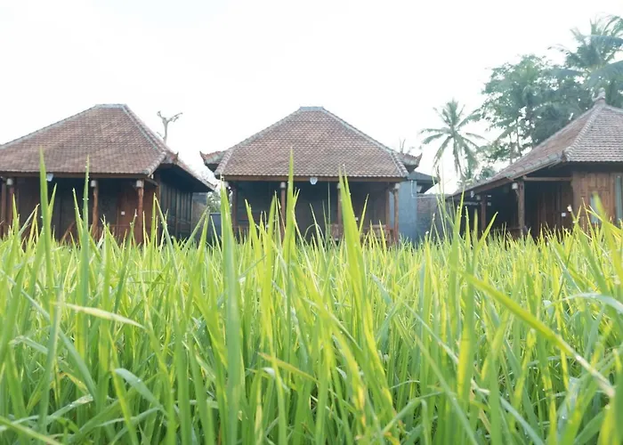 Uma Lanne - A Wooden Hideway Villas Ubud