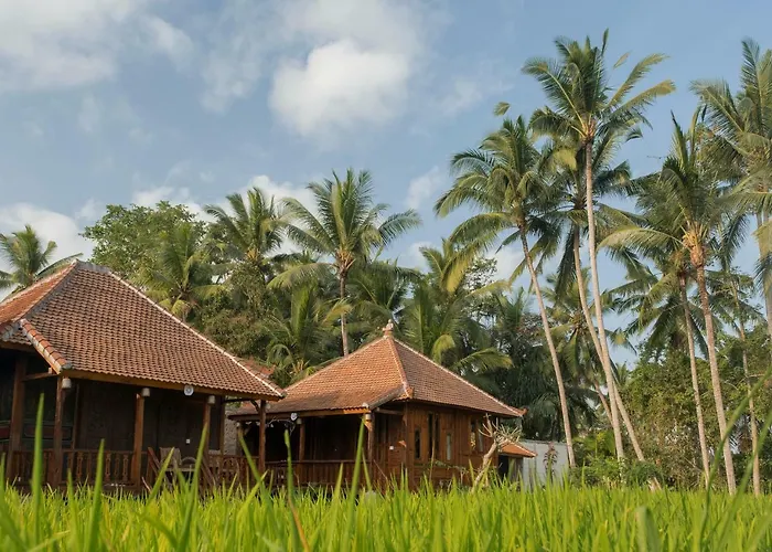 Uma Lanne - A Wooden Hideway Villas Lodge *