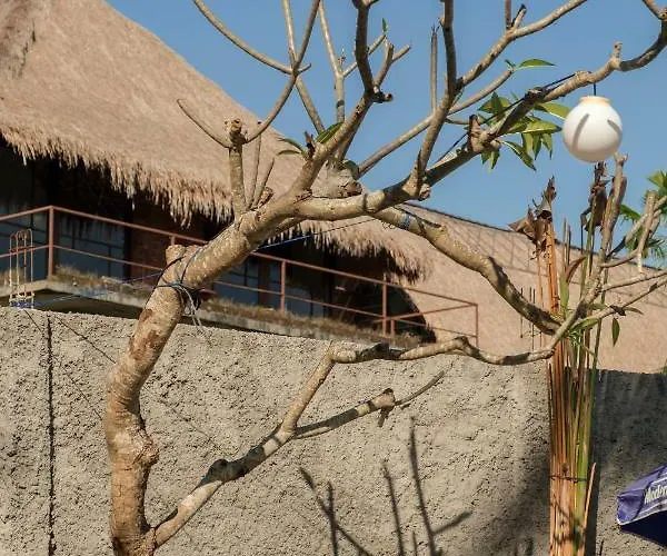 Uma Lanne - A Wooden Hideway Villas Lodge Ubud