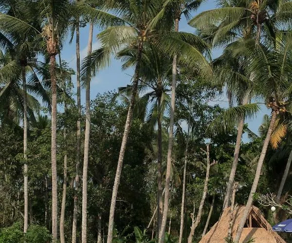 Uma Lanne - A Wooden Hideway Villas Lodge